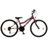 ORIENT COMFORT GIRL 24” ΠΟΔΗΛΑΤΟ MTB 21sp ΜΩΒ (151314) 2026
