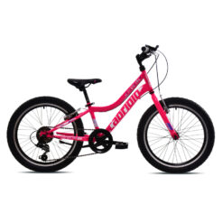 CAPRIOLO DIAVOLO 200 ΠΑΙΔΙΚΟ ΠΟΔΗΛΑΤΟ 20” 6sp PINK/VIOLET 925321-11 2025