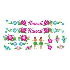 BRN ΑΥΤΟΚΟΛΛΗΤΑ ΠΟΔΗΛΑΤΟΥ HAWAII DE08H