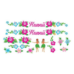 BRN ΑΥΤΟΚΟΛΛΗΤΑ ΠΟΔΗΛΑΤΟΥ HAWAII DE08H