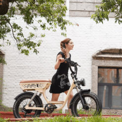 VELOGREEN (ONESPORT) W77 PLUS FAT E-BIKE ΗΛΕΚΤΡΙΚΟ ΠΟΔΗΛΑΤΟ 48V/18AH (864WH) BEIGE - Image 5